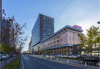 成年窖藏酱食稻金价格对比